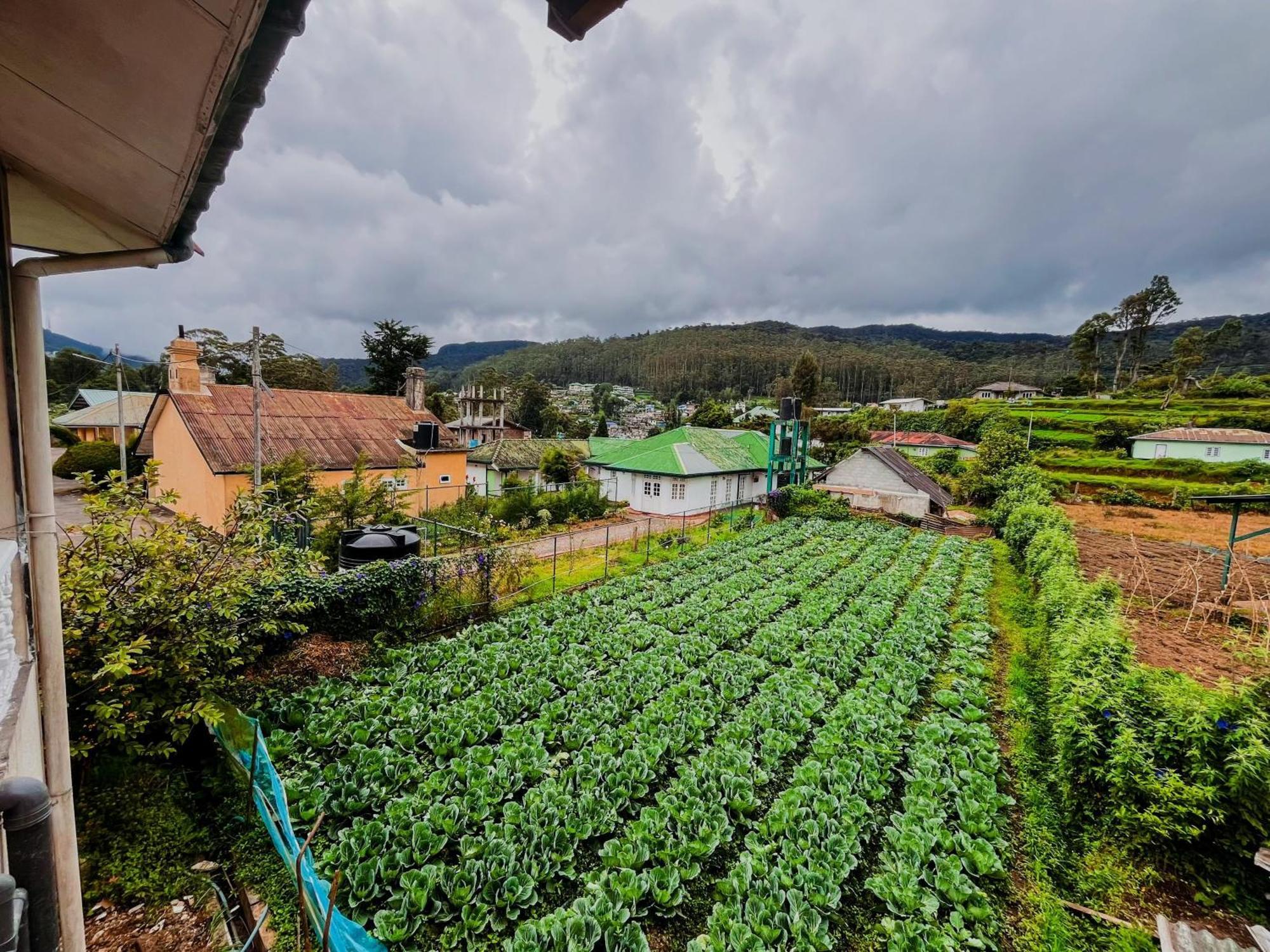 Selis Manor Apartment Nuwara Eliya Exterior photo